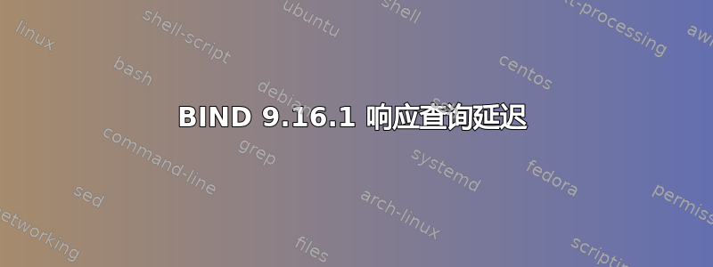 BIND 9.16.1 响应查询延迟