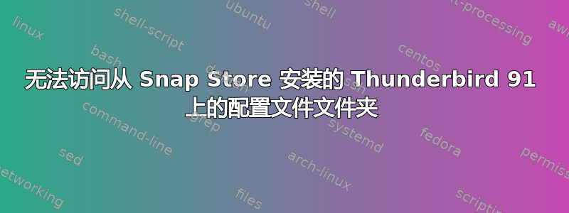 无法访问从 Snap Store 安装的 Thunderbird 91 上的配置文件文件夹