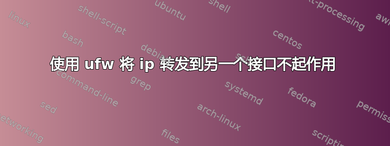 使用 ufw 将 ip 转发到另一个接口不起作用