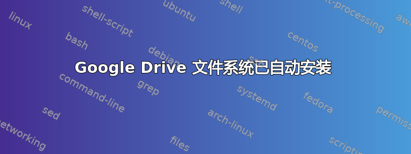 Google Drive 文件系统已自动安装