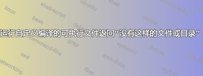 运行自定义编译的可执行文件返回“没有这样的文件或目录”