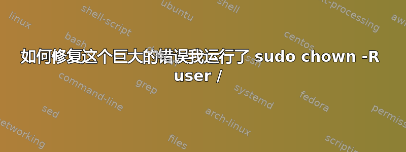 如何修复这个巨大的错误我运行了 sudo chown -R user / 