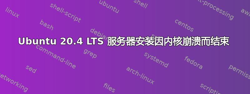 Ubuntu 20.4 LTS 服务器安装因内核崩溃而结束