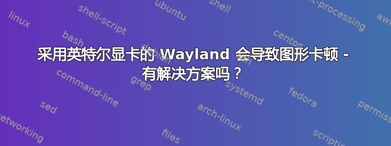 采用英特尔显卡的 Wayland 会导致图形卡顿 - 有解决方案吗？