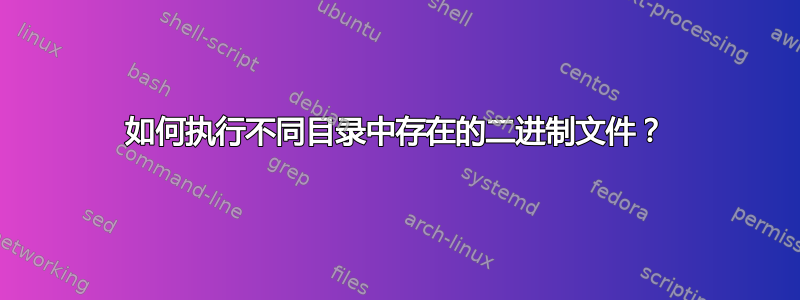 如何执行不同目录中存在的二进制文件？