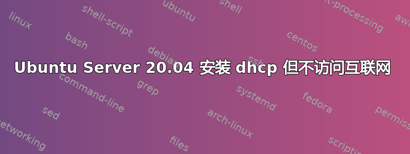 Ubuntu Server 20.04 安装 dhcp 但不访问互联网