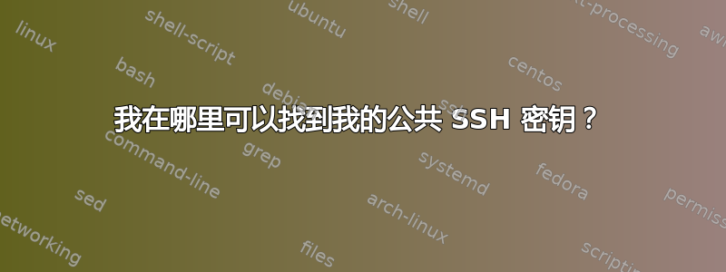 我在哪里可以找到我的公共 SSH 密钥？