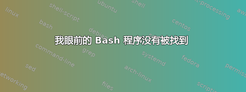 我眼前的 Bash 程序没有被找到