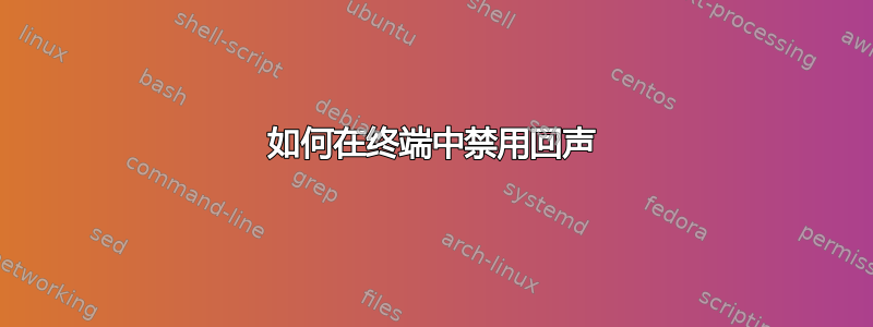 如何在终端中禁用回声