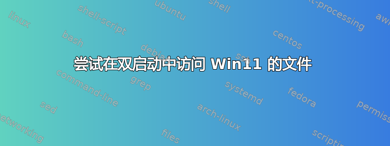 尝试在双启动中访问 Win11 的文件