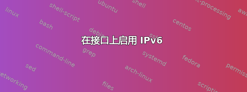 在接口上启用 IPv6