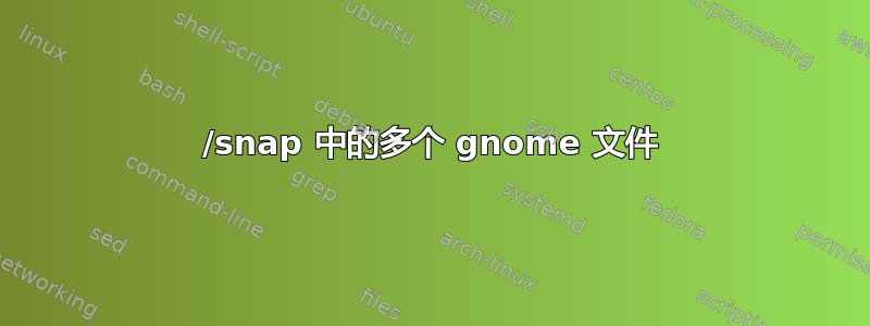 /snap 中的多个 gnome 文件