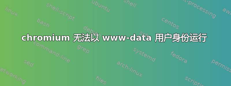 chromium 无法以 www-data 用户身份运行