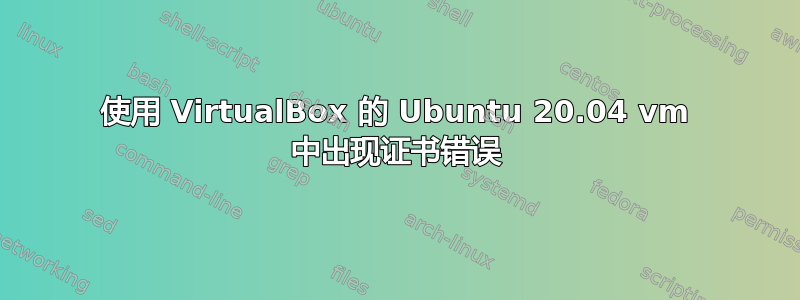 使用 VirtualBox 的 Ubuntu 20.04 vm 中出现证书错误