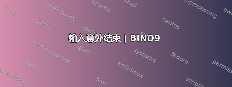 输入意外结束 | BIND9