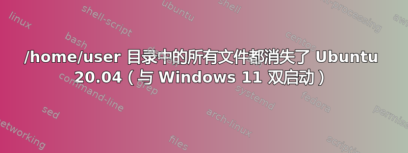 /home/user 目录中的所有文件都消失了 Ubuntu 20.04（与 Windows 11 双启动）