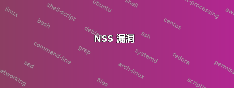 NSS 漏洞 