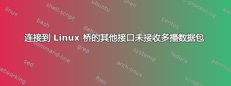 连接到 Linux 桥的其他接口未接收多播数据包