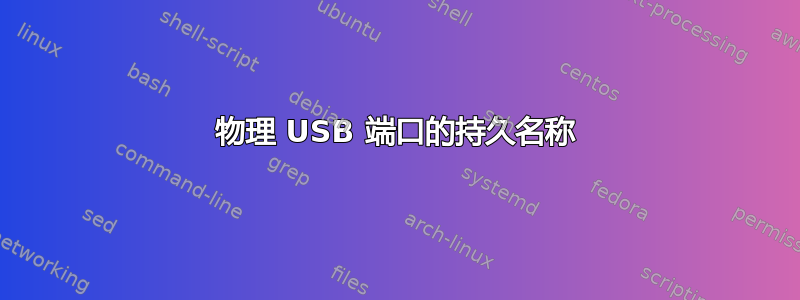 物理 USB 端口的持久名称