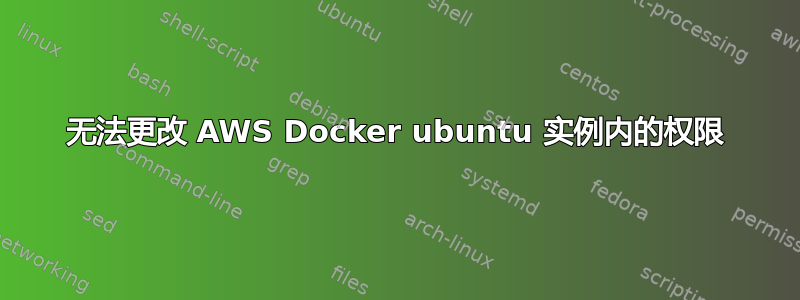 无法更改 AWS Docker ubuntu 实例内的权限