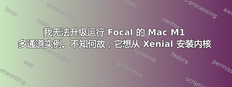 我无法升级运行 Focal 的 Mac M1 多通道实例。不知何故，它想从 Xenial 安装内核