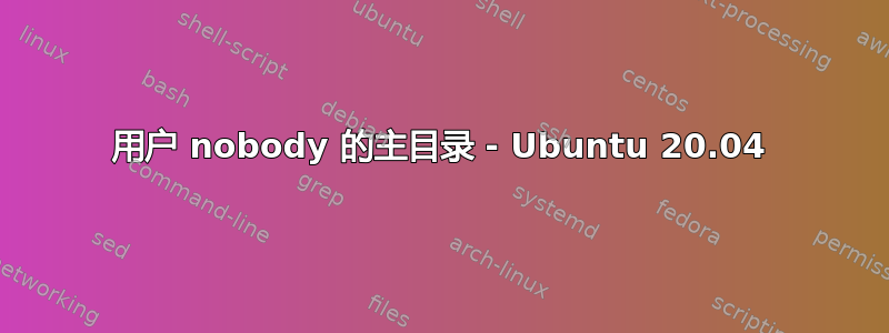 用户 nobody 的主目录 - Ubuntu 20.04