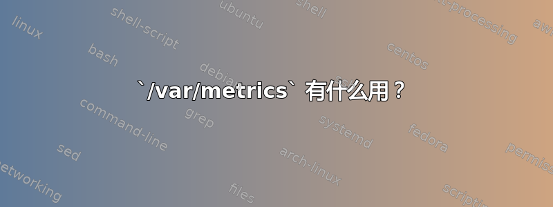 `/var/metrics` 有什么用？