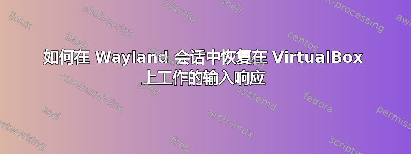 如何在 Wayland 会话中恢复在 VirtualBox 上工作的输入响应