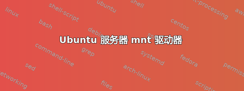 Ubuntu 服务器 mnt 驱动器