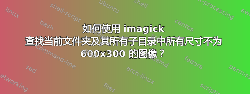 如何使用 imagick 查找当前文件夹及其所有子目录中所有尺寸不为 600x300 的图像？