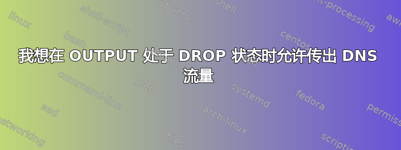 我想在 OUTPUT 处于 DROP 状态时允许传出 DNS 流量