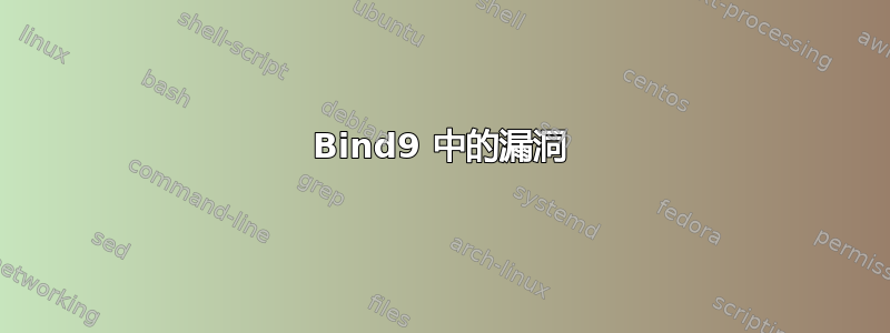 Bind9 中的漏洞