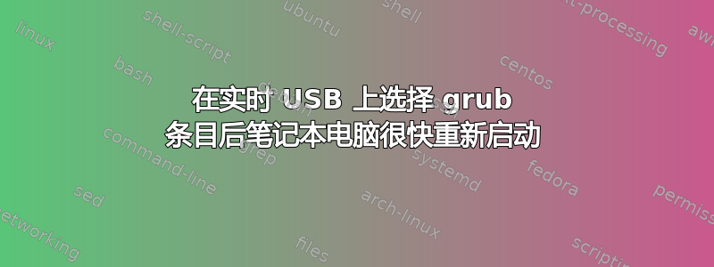 在实时 USB 上选择 grub 条目后笔记本电脑很快重新启动