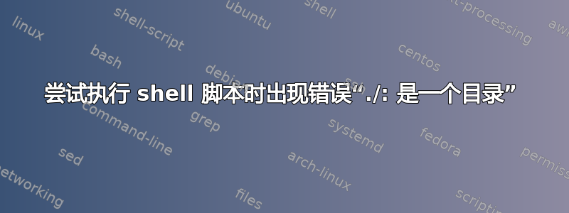 尝试执行 shell 脚本时出现错误“./: 是一个目录”