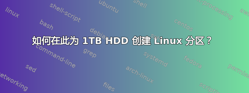 如何在此为 1TB HDD 创建 Linux 分区？