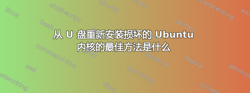 从 U 盘重新安装损坏的 Ubuntu 内核的最佳方法是什么