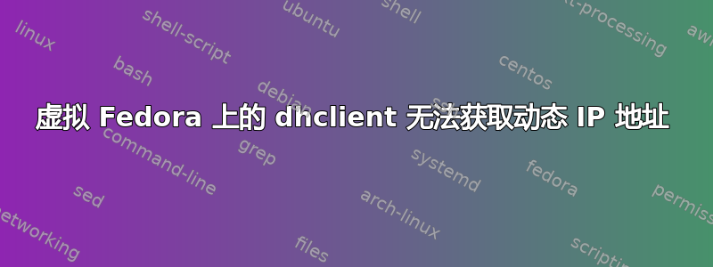 虚拟 Fedora 上的 dhclient 无法获取动态 IP 地址