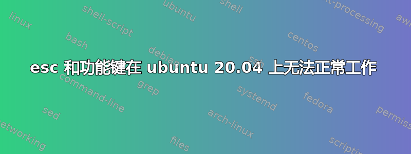 esc 和功能键在 ubuntu 20.04 上无法正常工作