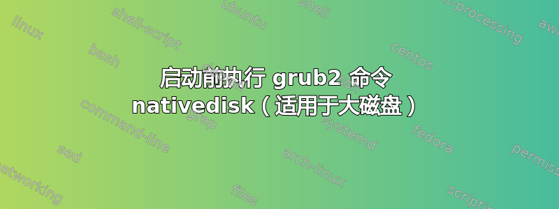 启动前执行 grub2 命令 nativedisk（适用于大磁盘）