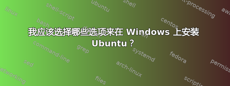 我应该选择哪些选项来在 Windows 上安装 Ubuntu？