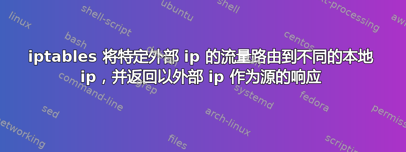 iptables 将特定外部 ip 的流量路由到不同的本地 ip，并返回以外部 ip 作为源的响应