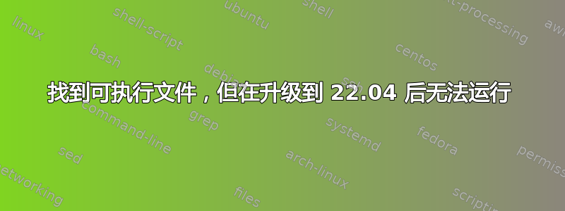 找到可执行文件，但在升级到 22.04 后无法运行