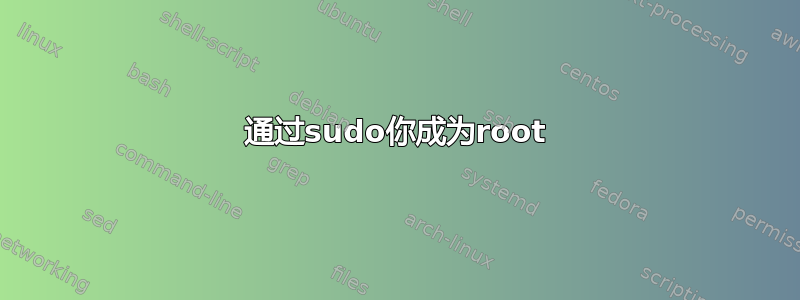 通过sudo你成为root