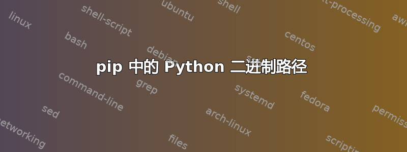 pip 中的 Python 二进制路径