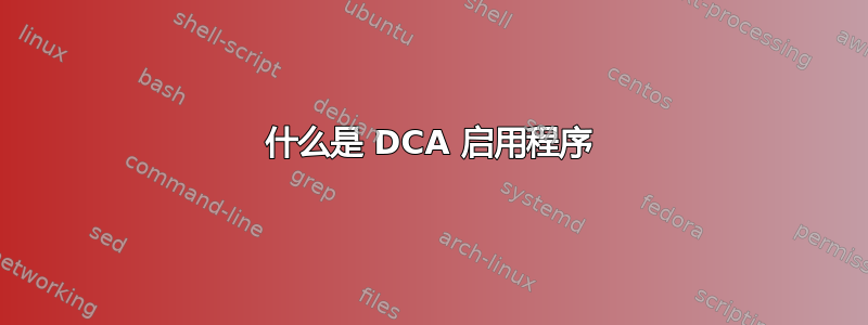 什么是 DCA 启用程序