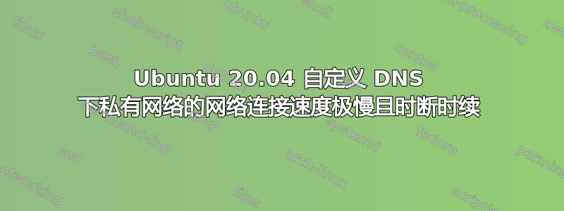 Ubuntu 20.04 自定义 DNS 下私有网络的网络连接速度极慢且时断时续