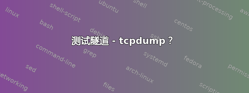 测试隧道 - tcpdump？