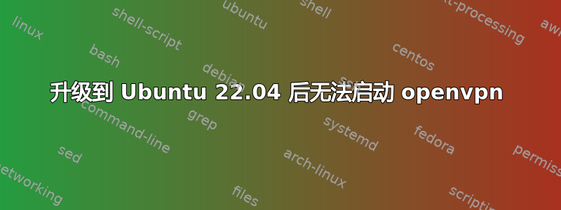 升级到 Ubuntu 22.04 后无法启动 openvpn