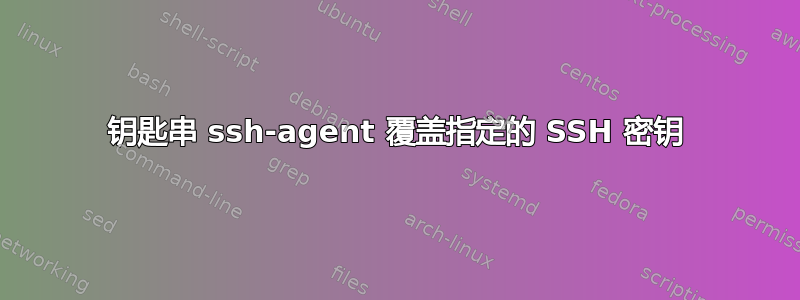 钥匙串 ssh-agent 覆盖指定的 SSH 密钥