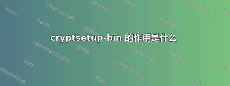 cryptsetup-bin 的作用是什么